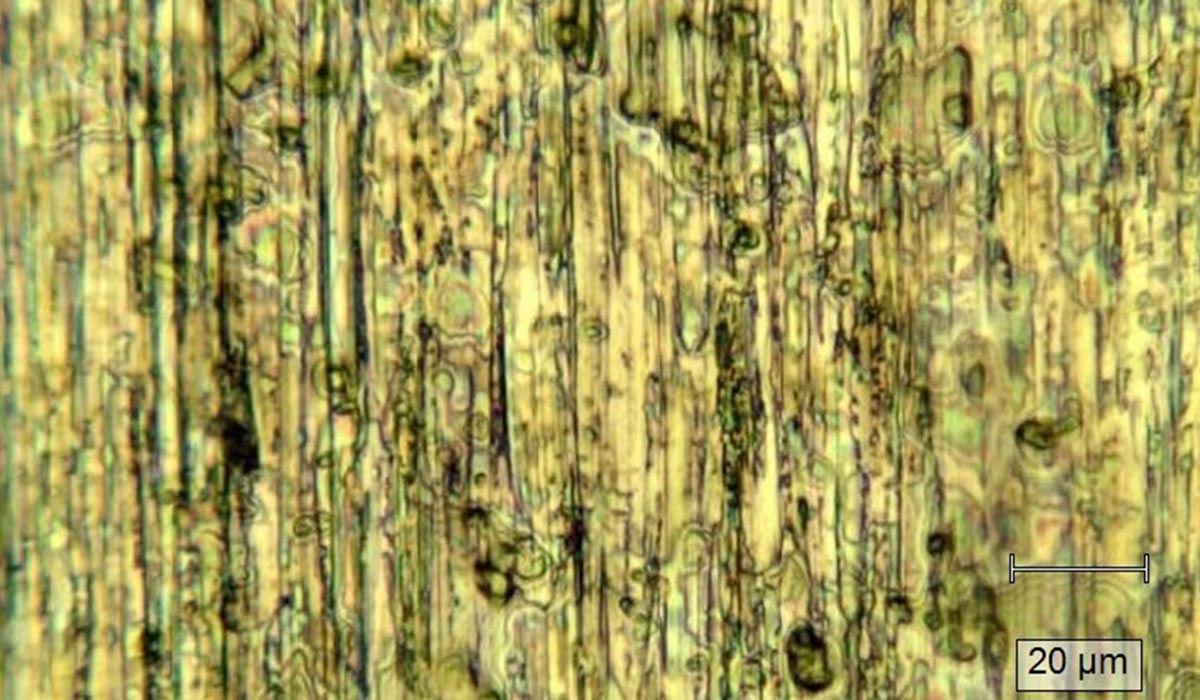 Analysis of chemical-film residues in the aerospace industry